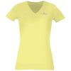 Women's Premium v-neck t-shirt Thumbnail